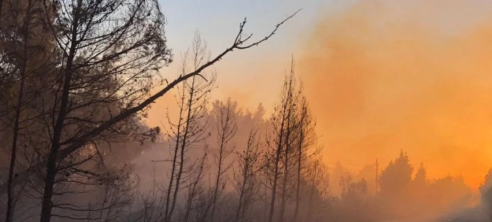 Ανεξέλεγκτη η φωτιά στη Σιθωνία Χαλκιδικής – Εκκενώνεται προληπτικά οικισμός
